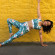 Professeur de Yoga-Vinyasa | Vanessa