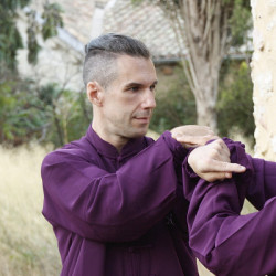 Coach de Tai Chi | Laurent