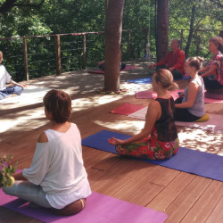 Professeur de Yoga-Hatha | Nelly