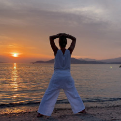 Coach de Qi Gong | Virginie 