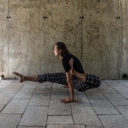 Professeur de Yoga-Vinyasa | Vassili